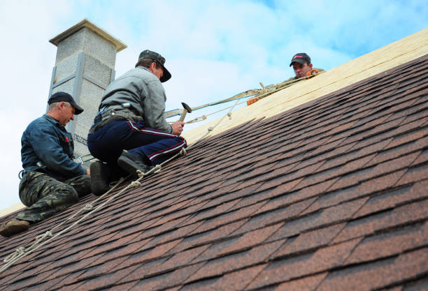 Professional Roofing Contractor in Humboldt, IA